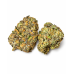 Midnight Velvet – AAA Indoor Indica