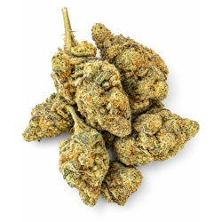 Golden Hour – AAA Indoor Hybrid