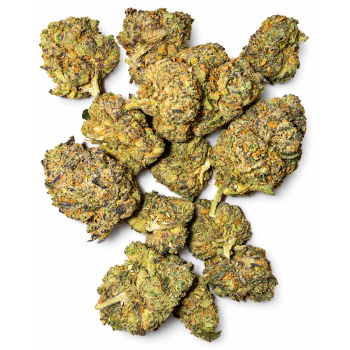 Midnight Velvet – AAA Indoor Indica