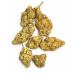 Golden Hour – AAA Indoor Hybrid