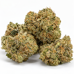 GG4 – Gorilla Glue #4 GG4 – Gorilla Glue #4